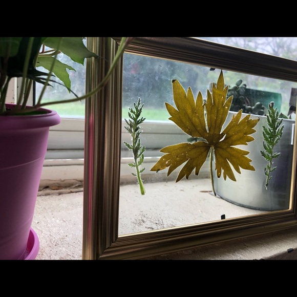 Floating Flower Frame Custom - Picture 3 of 4